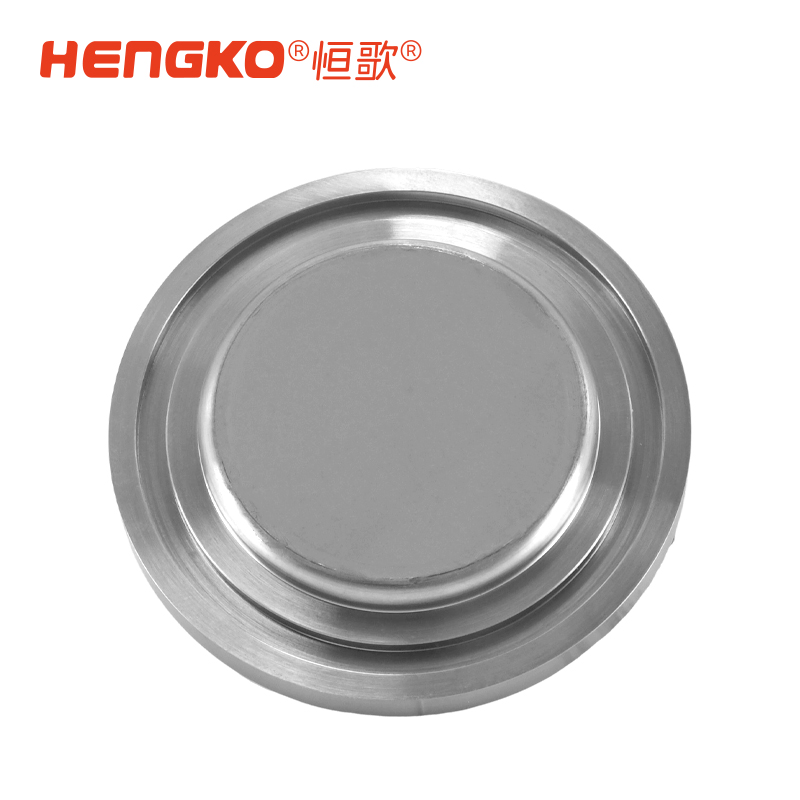 微電子半導(dǎo)體晶圓制程工藝氣體過(guò)濾終端 316L 外殼快速進(jìn)氣擴(kuò)散器